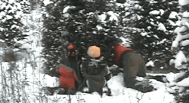 karácsony favágás