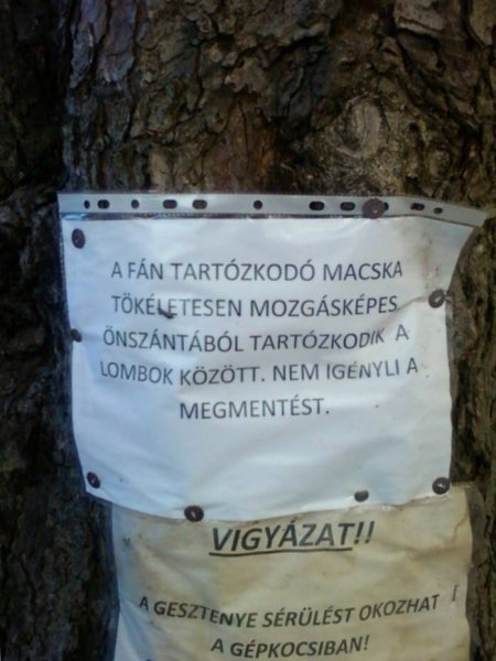 Rejtő Jenő szelleme él