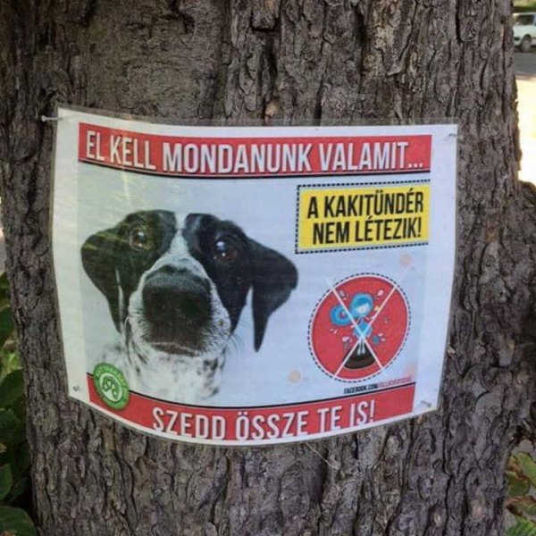 kakitündér nem létezik