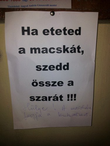 macskaszar