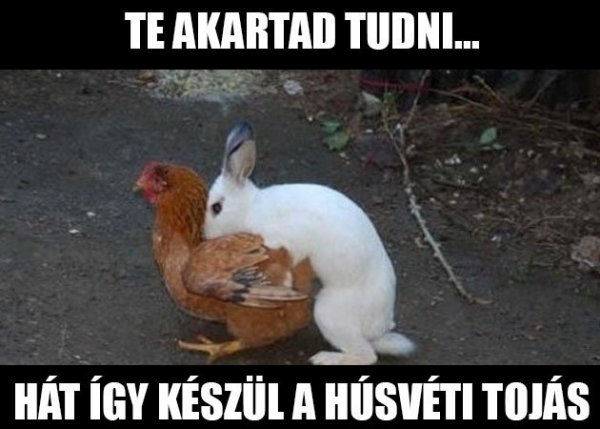 húsvét