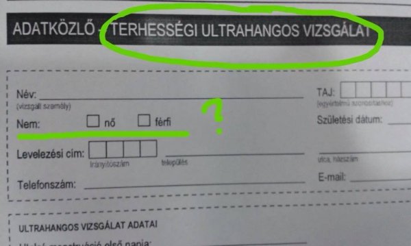 terhességi papír