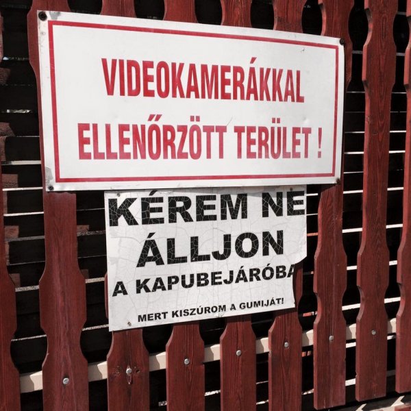 Őszintén udvariasan